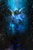 IMG_7074.jpeg