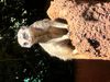 IMG_7186.jpeg