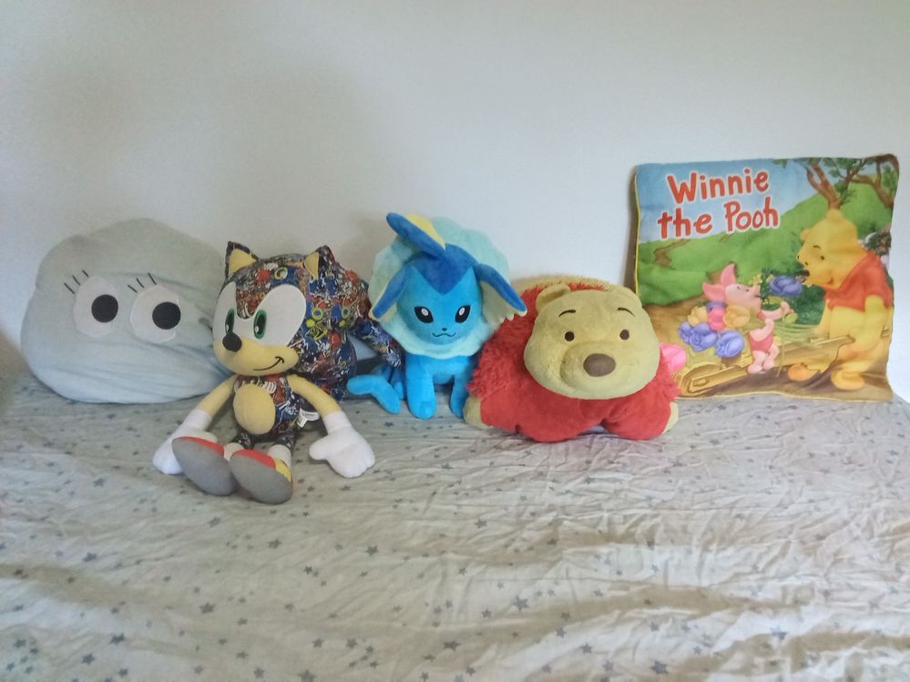 Left to Right: pillow blanket, sonic, vaporeon, Pooh bear pillow pet, Winnie the Pooh cushion