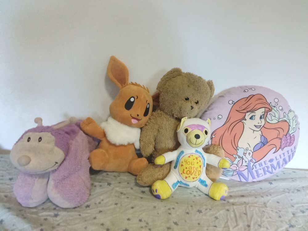 Left to right: Flutterby pillow pet, Eevee, John (back), not actually named yet, little mermaid cushion