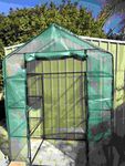 my new walk-in greenhouse